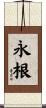 永根 Scroll