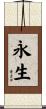 Eternal Life / Everlasting Life / Immortality Scroll