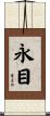 永目 Scroll