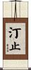 汀止 Scroll