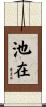 池在 Scroll