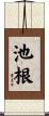 池根 Scroll