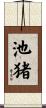 池猪 Scroll