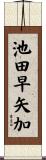 池田早矢加 Scroll