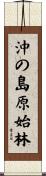 沖の島原始林 Scroll