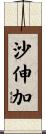 沙伸加 Scroll