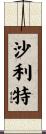 Shalit Scroll