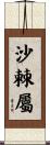 沙棘屬 Scroll