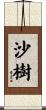 沙樹 Scroll