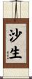 沙生 Scroll