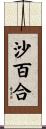 沙百合 Scroll