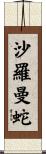 沙羅曼蛇 Scroll
