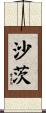 Schatz Scroll