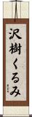沢樹くるみ Scroll