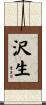 沢生 Scroll