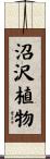沼沢植物 Scroll