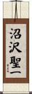 沼沢聖一 Scroll