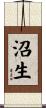 沼生 Scroll