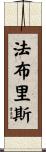 Fabrice Scroll