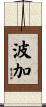 波加 Scroll