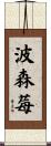 波森莓 Scroll