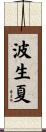 波生夏 Scroll