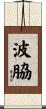 波脇 Scroll