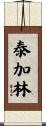 泰加林 Scroll