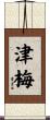 津梅 Scroll