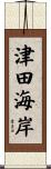 津田海岸 Scroll
