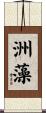 洲藻 Scroll