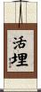 活埋 Scroll