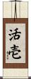 活壱 Scroll