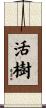 活樹 Scroll