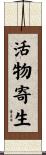 活物寄生 Scroll