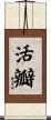 活瓣 Scroll
