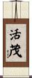 活茂 Scroll