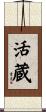 活蔵 Scroll