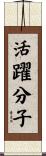 活躍分子 Scroll