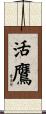 活鷹 Scroll