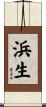 浜生 Scroll