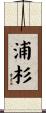 浦杉 Scroll