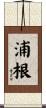 浦根 Scroll