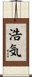 浩気 Scroll