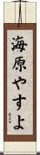 海原やすよ Scroll
