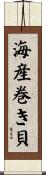 海産巻き貝 Scroll