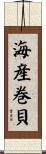 海産巻貝 Scroll
