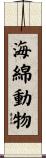 海綿動物 Scroll