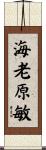 海老原敏 Scroll