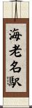 海老名駅 Scroll